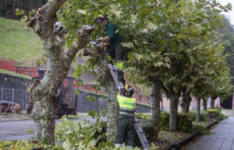 FUSBA_Jardineria-18bis FUSBA Ropa de trabajo